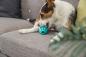 Preview: Trixie Denta Fun Rugbyball Hundespielzeug